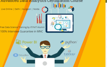 Job Oriented Data Analyst Training Course in Delhi