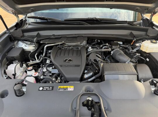 LEXUS TX 500h