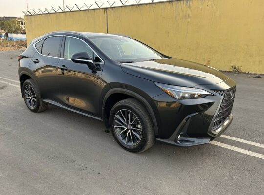 LEXUS NX 350 | 2024 |