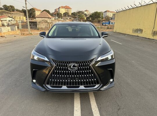 LEXUS NX 350 | 2024 |