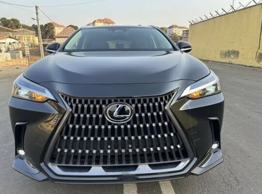 LEXUS NX 350 | 2024 |