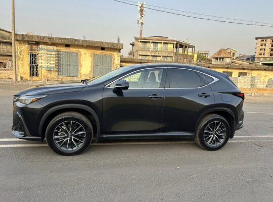 LEXUS NX 350 | 2024 |