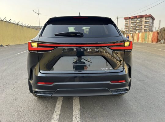 LEXUS NX 350 | 2024 |
