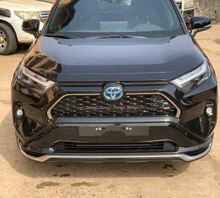 NOUVEL ARRIVAGE 2025 – PUISSANCE & CLASSE RÉUNIES