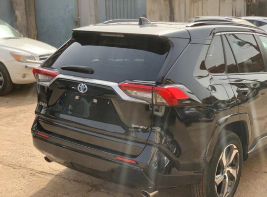 NOUVEL ARRIVAGE 2025 – PUISSANCE & CLASSE RÉUNIES