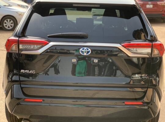 NOUVEL ARRIVAGE 2025 – PUISSANCE & CLASSE RÉUNIES