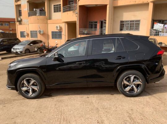 NOUVEL ARRIVAGE 2025 – PUISSANCE & CLASSE RÉUNIES