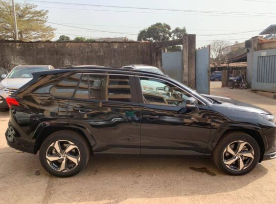 NOUVEL ARRIVAGE 2025 – PUISSANCE & CLASSE RÉUNIES